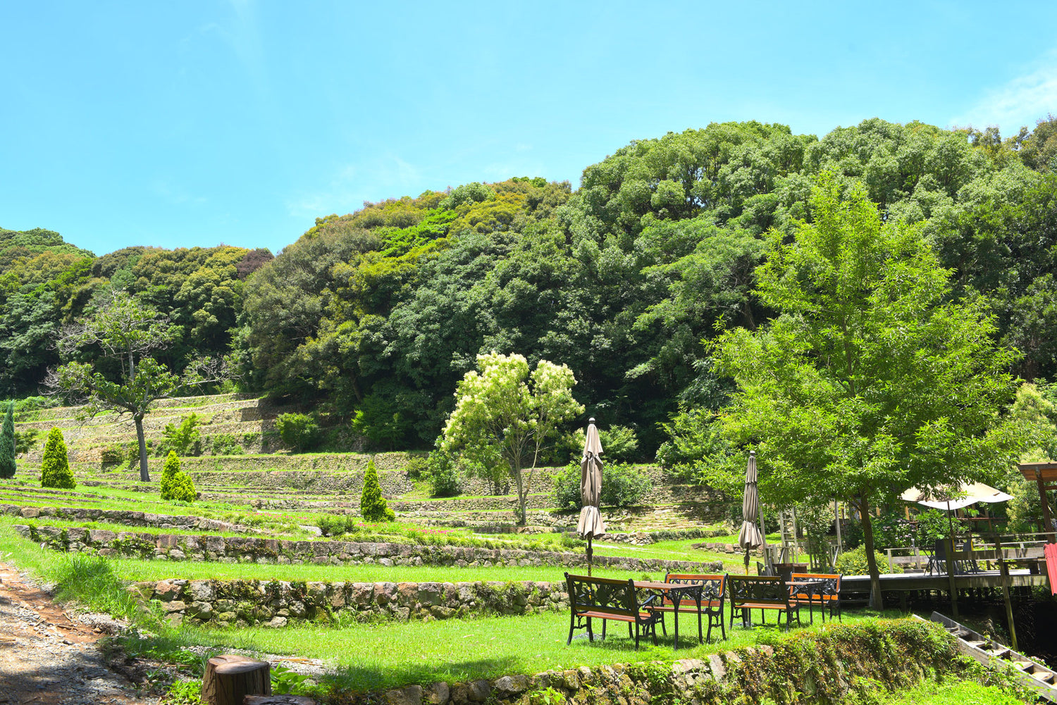 橘香園キャンプ場