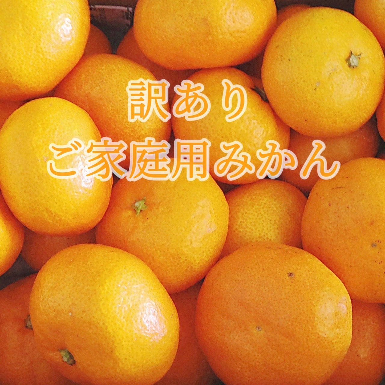 宮川早生（ご家庭用）5kg